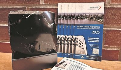 Seit 2008 wird die Auszeichnung alle zwei Jahre vergeben.