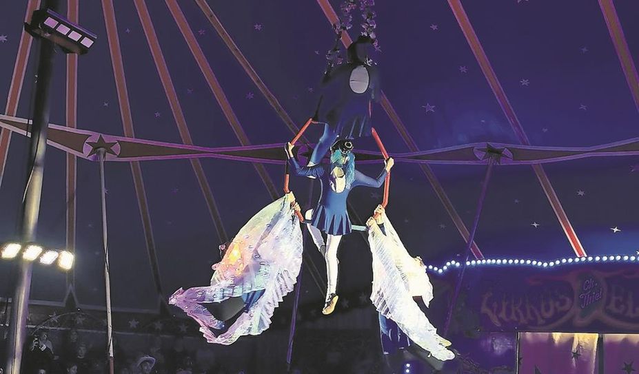 In schwindelerregender Höhe haben sich die Kinder durch das Zirkuszelt geschwungnen.
