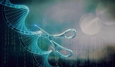 Bei der „Grünen Gentechnik“ steht im Fokus, gezielt einzelne Gene abzuschalten oder abzuwandeln.