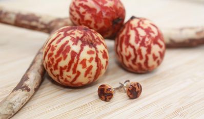 Der Schmuck aus Avocadokernen.
