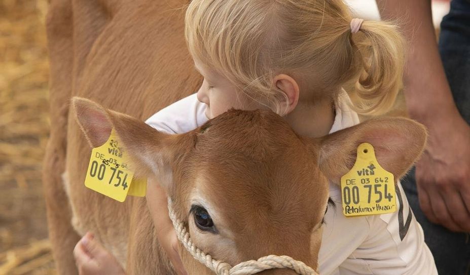 Natürlich ist auch an ein Programm für die kleinen Besucher:innen gedacht.