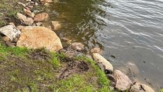 Mit den neuen Steinen soll das Ufer des Sees gestützt werden.