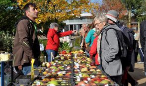 Der Apfel steht beim Herbstmarkt im Park der Gärten im Mittelpunkt.