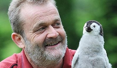 Dr. Klemens Pütz hat schon mit vielen Pinguinen seine Zeit verbracht.