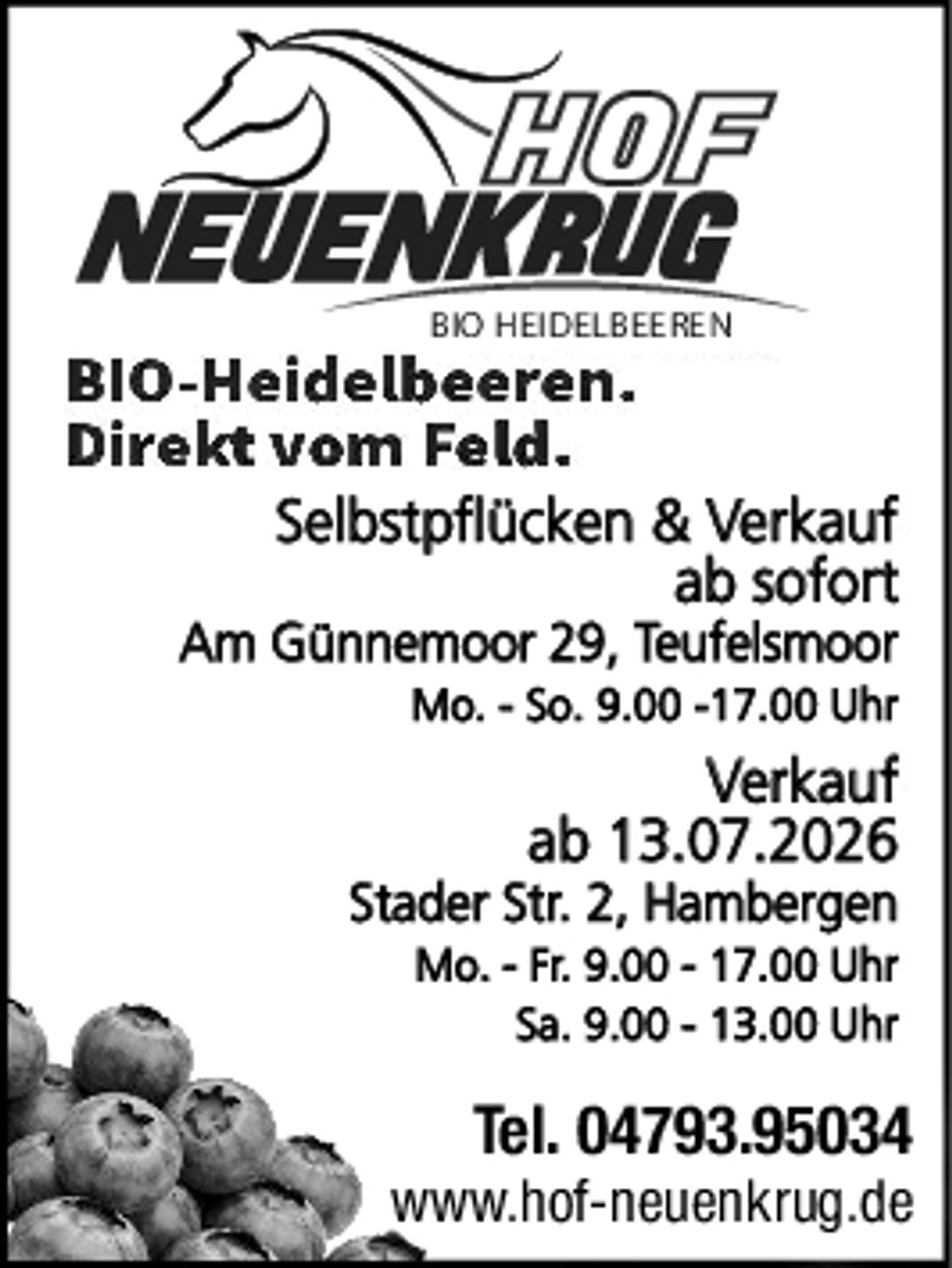 BIO-Heidelbeeren
