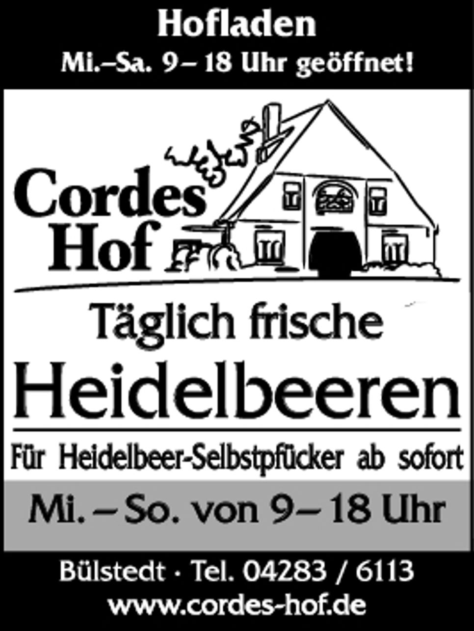 Heidelbeeren