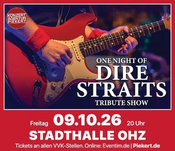 One Night of Dire Strits
