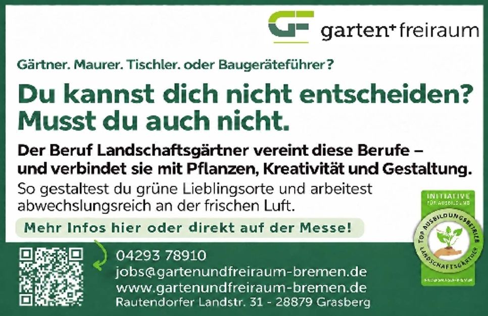 Image-Neu