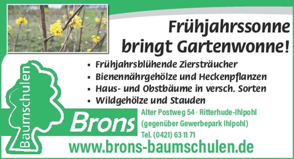 Image Neu