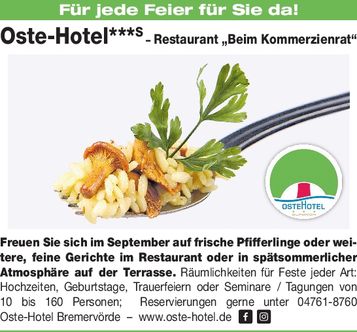 Sitzplatz Pfifferlinge