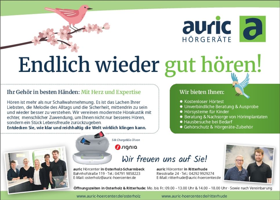 Frühling Vögel