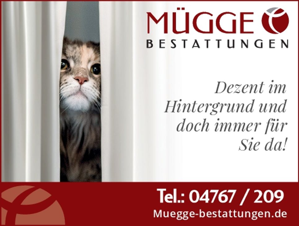 Mügge Image-Katze
