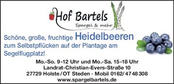 Heidelbeeren