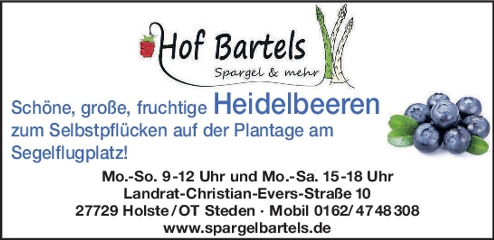 Heidelbeeren