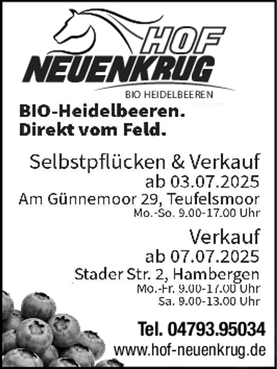 BIO-Heidelbeeren