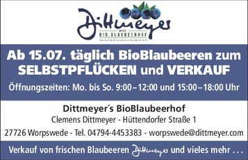 Heidelbeeren..