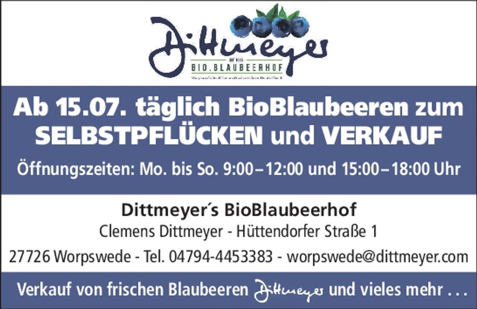 Heidelbeeren..