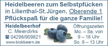 Heidelbeeren zum Selbstpflücken