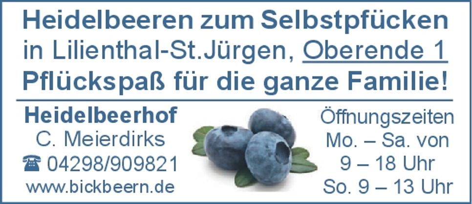 Heidelbeeren zum Selbstpflücken