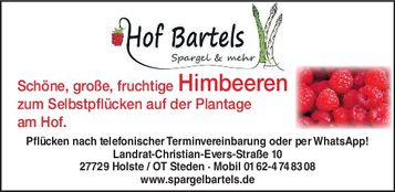 Himbeeren