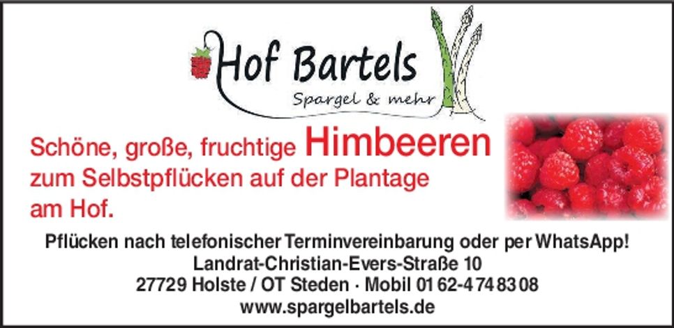 Himbeeren