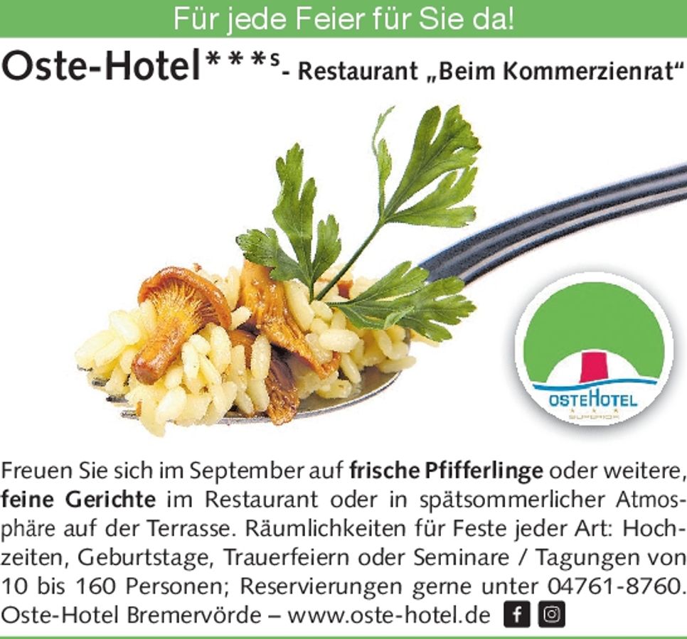 Sitzplatz Pfifferlinge
