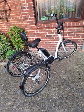 E-Bike, 3-Rad, Pfautec Co