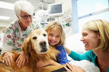 Therapiehunde-Halterausbi
