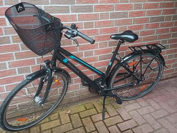 Damenfahrrad Pegasus Piaz